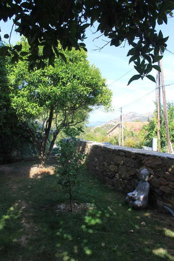 Studio Zen Barbaggio Εξωτερικό φωτογραφία